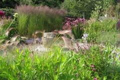 Rhodds-Farm-Garden-July-2019-046-2